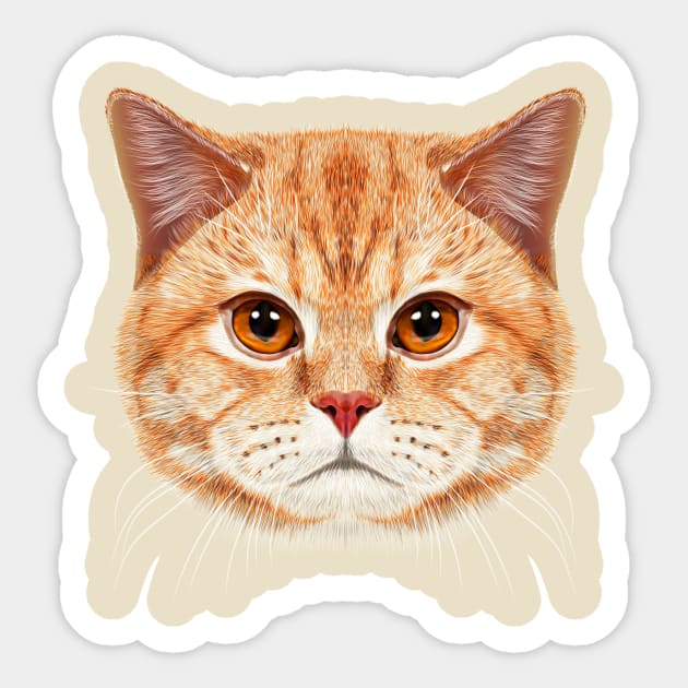 Orange Tabby Cats Face Sticker by cameradog